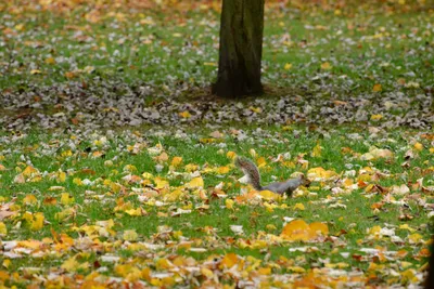 DSC_0577 (Large).JPG